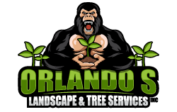 Orlando S Landscape & Tree Services INC